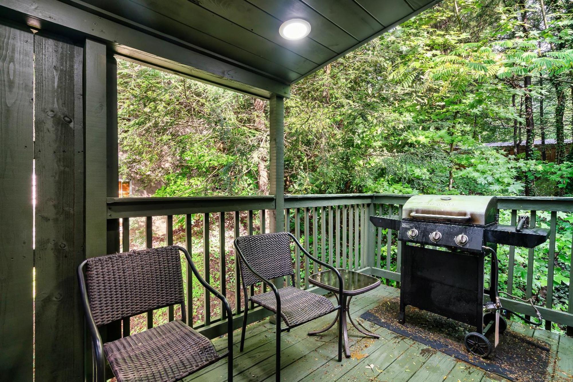Mama Bear'S Moonshine Ridge Villa แกตลิงเบิร์ก ภายนอก รูปภาพ